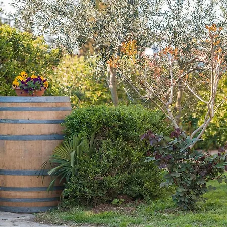 펜션 Wine Garden *